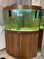 Juwel augaruim, Ophalen, Leeg aquarium