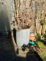 Twee grote tuinpotten, Tuin en Terras, Bloempotten, Gebruikt, 40 cm of meer, Rond, Binnen