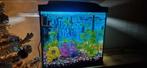 Ik verkoop mijn aquarium inclusief 1 goudvis, Dieren en Toebehoren, Vissen | Aquaria en Toebehoren, Ophalen, Gevuld zoetwateraquarium