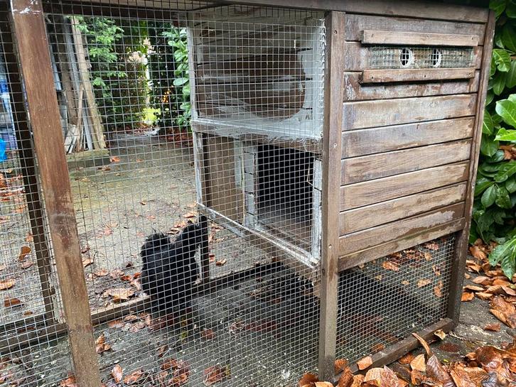 Gratis kippen-/konijnenhok, Dieren en Toebehoren, Pluimvee | Toebehoren, Gebruikt, Kippenhok of Kippenren, Ophalen