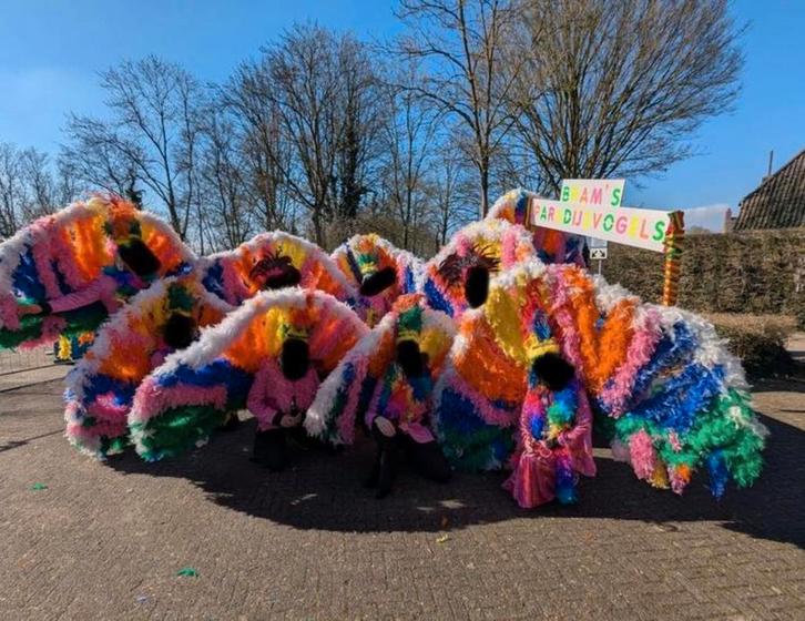 Zeer kleurrijke loopgroep, Hobby en Vrije tijd, Feestartikelen, Carnaval, Ophalen