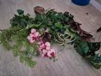 Kunstplanten en bloemen - Decoratie, Ophalen of Verzenden, Zo goed als nieuw, Binnen