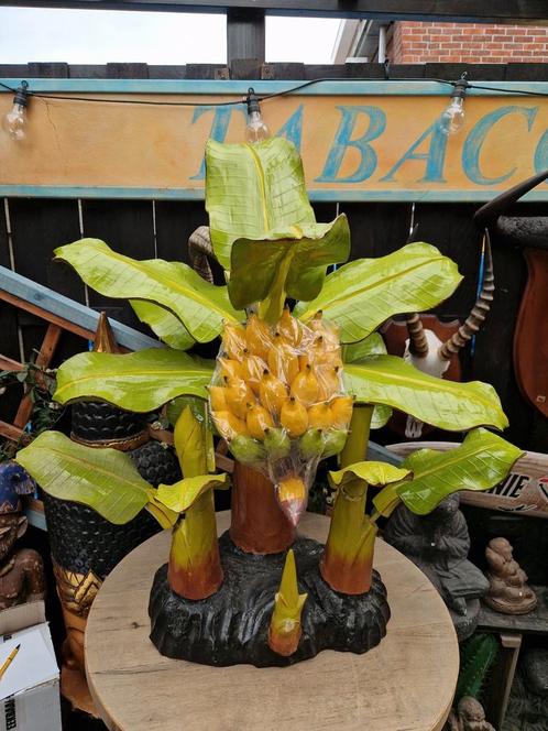 Prachtige houten bananen boom uit indonesië, Huis en Inrichting, Kamerplanten, Ophalen of Verzenden