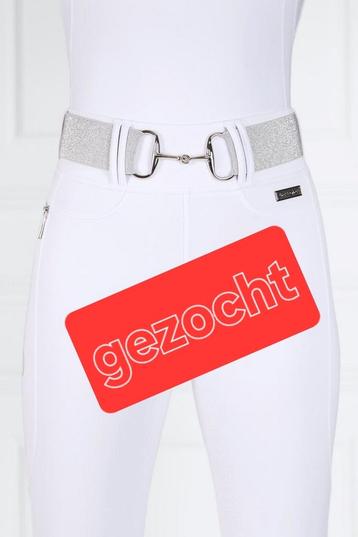 Gezocht ️ Zilveren horsegloss riem  beschikbaar voor biedingen