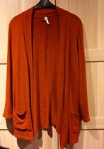 Dames Vest - Maat XL, Terra, Ophalen of Verzenden, Maat 46/48 (XL) of groter, Bruin