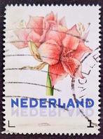 Janneke Brinkman: amaryllis, Postzegels en Munten, Postzegels | Nederland, Verzenden, Na 1940, Gestempeld