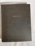 Avicultura tijdschriften jaargang 1919 in boekvorm, Gelezen, Ophalen of Verzenden, Diverse schrijvers, Pluimvee