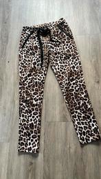 G-maxx legging/broek S valt iets ruimer, Bruin, Ophalen of Verzenden, Zo goed als nieuw, G-maxx