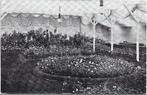 Boskoop,  Groote Rozententoonstelling juli 1913, Verzenden, Voor 1920, Gelopen, Zuid-Holland