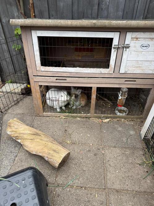 Nijntje witte hangoortje+hok, Dieren en Toebehoren, Knaagdieren en Konijnen | Hokken en Kooien, Zo goed als nieuw, Kooi, Minder dan 60 cm