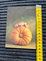 46. Kaart Anne Geddes Pompoen kind, Ophalen of Verzenden, Ongelopen
