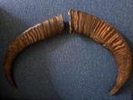 Buffelhoorns, Ophalen of Verzenden, Zo goed als nieuw, Paard, Beeldje of Figuurtje