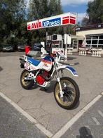 Honda All-Road XL 600 LM PARIS DAKAR EDITIE A2 35KW, 591 cc, Bedrijf, Toermotor, 12 t/m 35 kW
