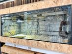 OSB Terrarium 120x50x60 met rotsachterwand, plateau’s en uv., Dieren en Toebehoren, Reptielen en Amfibieën | Toebehoren, Ophalen