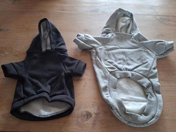 Hoodies/sweatshirt voor kleine honden beschikbaar voor biedingen