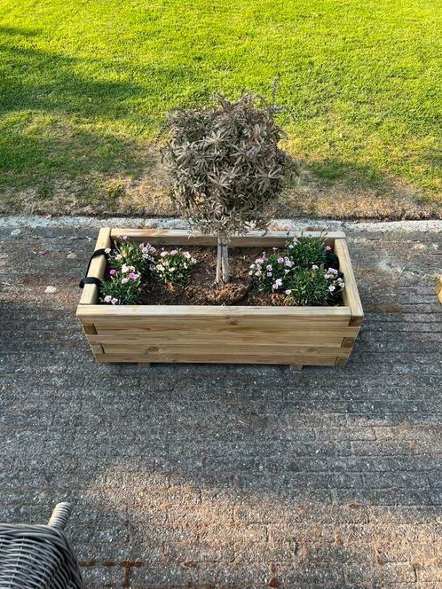 Nieuw! Exclusieve grenen plantenbakken, Tuin en Terras, Bloembakken en Plantenbakken, Zo goed als nieuw, Hout, Balkon, Ophalen
