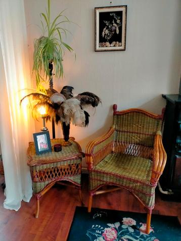 Vintage Rotan Stoel en Bijzettafel Set beschikbaar voor biedingen