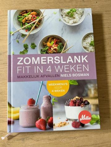Zomerslank Fit in 4 Weken Niels Bosman beschikbaar voor biedingen