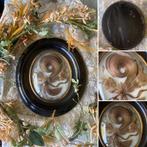 🌿“ ANTIEK VICTORIAANSE LIJST”HAARWERK”🌿19e Eeuw, Verzenden