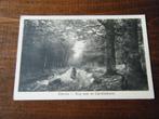 M21 - Ellecom - Weg naar Carolinahoeve - 1932 - Mooie kaart, Ophalen of Verzenden, 1920 tot 1940