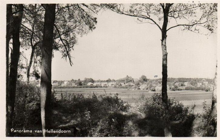 Panorama van Hellendoorn - gezicht op - 1950 gelopen, Verzamelen, Ansichtkaarten | Nederland, Ongelopen, Overijssel, Voor 1920