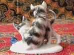 Spelende katten of poezen mooi oud beeldje uit Duitsland., Antiek en Kunst, Antiek | Porselein, Ophalen of Verzenden