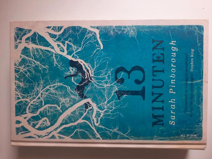 Sarah Pinborough - 13 minuten, Boeken, Kinderboeken | Jeugd | 13 jaar en ouder, Zo goed als nieuw, Ophalen of Verzenden