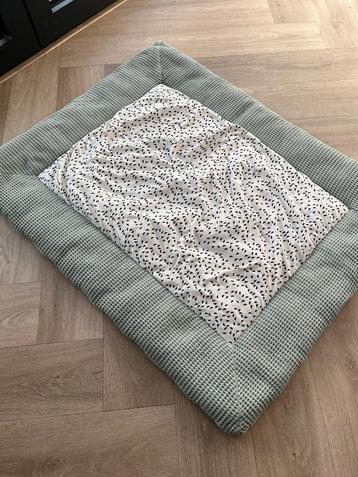 Boxkleed  beschikbaar voor biedingen