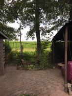 Ruim vakantie chalet ‘Huisje Houtje Touwtje’ te huur, Vakantie, Vakantiehuizen | Nederland, Tuin, 2 slaapkamers, Recreatiepark