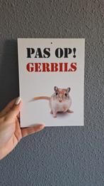 Gerbil waak bordje, Januari