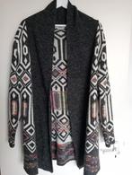 Leuk gekleurd vest, valt als XL, Kleding | Dames, Truien en Vesten, Ophalen of Verzenden, Gedragen, Maat 46/48 (XL) of groter