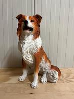 Border collie beelden zittend en spelend nieuw, Ophalen, Nieuw, Dier