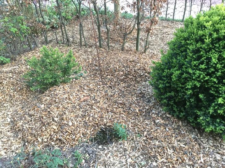 HOUTSNIPPERS COMPOST BODEMBEDEKKING BOOMSCHORS, Tuin en Terras, Aarde en Mest, Boomschors, Ophalen