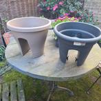 Elho balkonbak nieuw in antraciet of taupe, Kunststof, Minder dan 30 cm, Balkon, Minder dan 60 cm