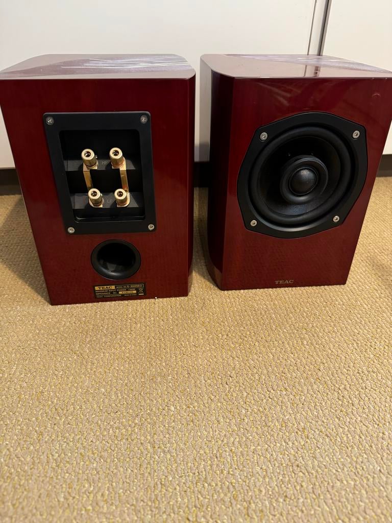 Custom painted Teac luidsprekers, Overige merken, Gebruikt, Ophalen of Verzenden, 60 tot 120 watt