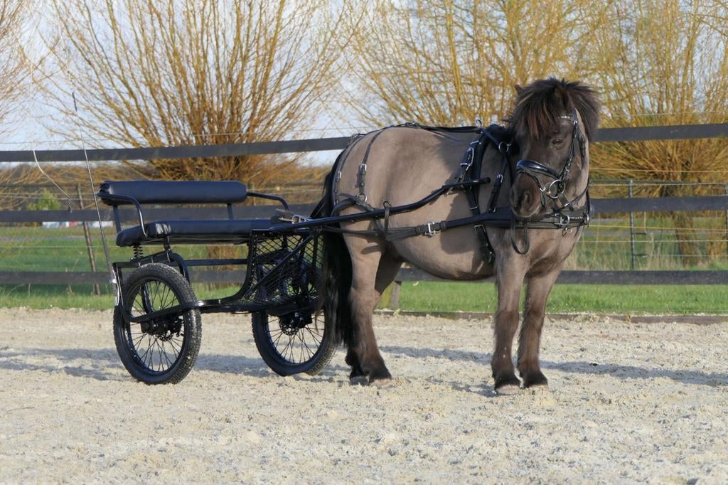 Prachtige sulky cavalettie (mini) shet met zweephouder!, Dieren en Toebehoren, Ophalen