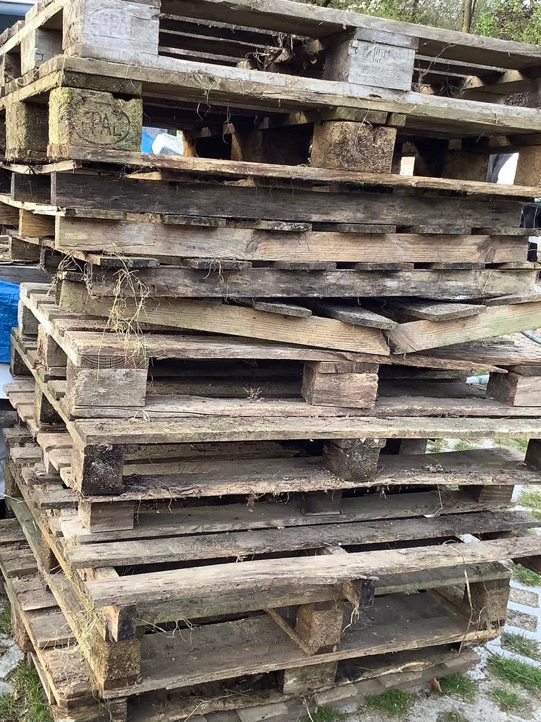 GRATIS Partij  pallets (kachelhout), Ophalen, Zo goed als nieuw, Pallet, Minder dan 200 cm