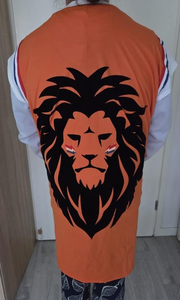 Oranje feestartikelen, Ophalen of Verzenden, Zo goed als nieuw, Feestartikel, Oranje of Koningsdag