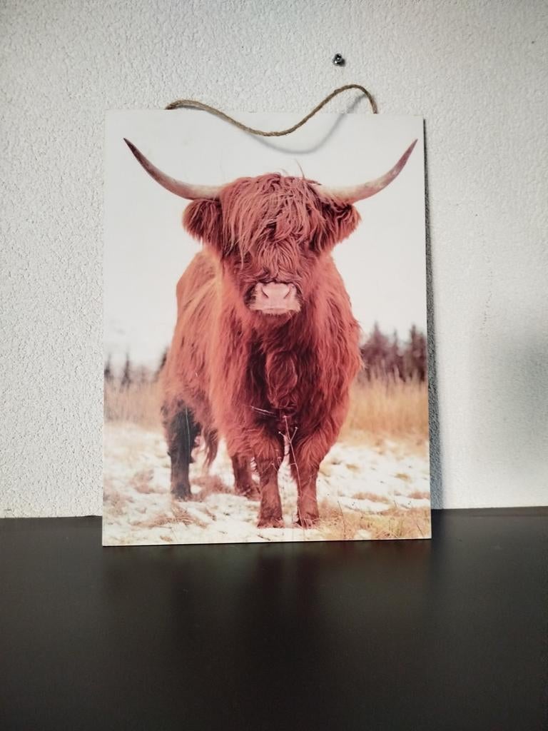 Schotse hooglander plaat 30*40 cm, 30 cm, Hout, Ophalen of Verzenden, Zo goed als nieuw