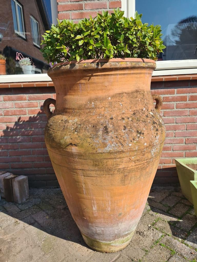 Grote terracotta kruik, Tuin en Terras, Ophalen of Verzenden