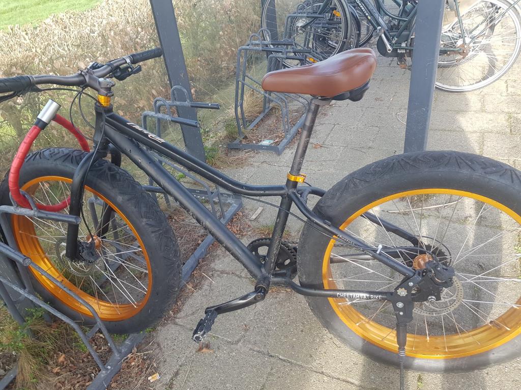 Cheetah Fatbike 3.0 - Stoere fiets met brede banden, Ophalen of Verzenden, Gebruikt, Cheetah