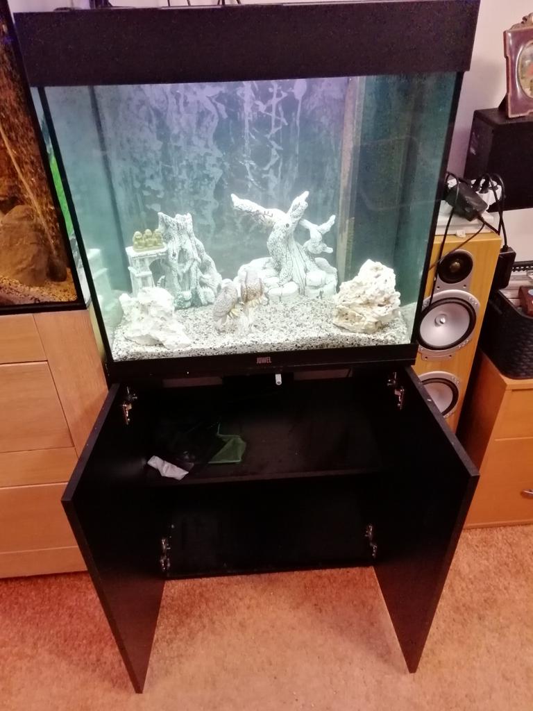 Jewel 120 met meubel en 12 regenboog chicliden uit zuid Amer, Ophalen