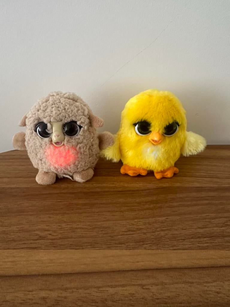 Kuikens die uit het ei komen | Mooie Leuke Achtergronden Voor Je