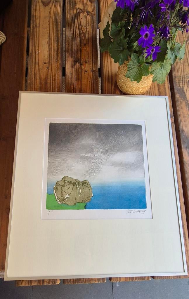 Sjoerd Bakker ets...(1979), Antiek en Kunst, Kunst | Etsen en Gravures, Ophalen
