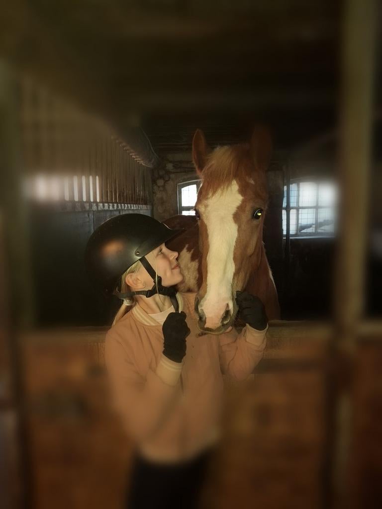 Verzorgpony/bijrijpony gezocht