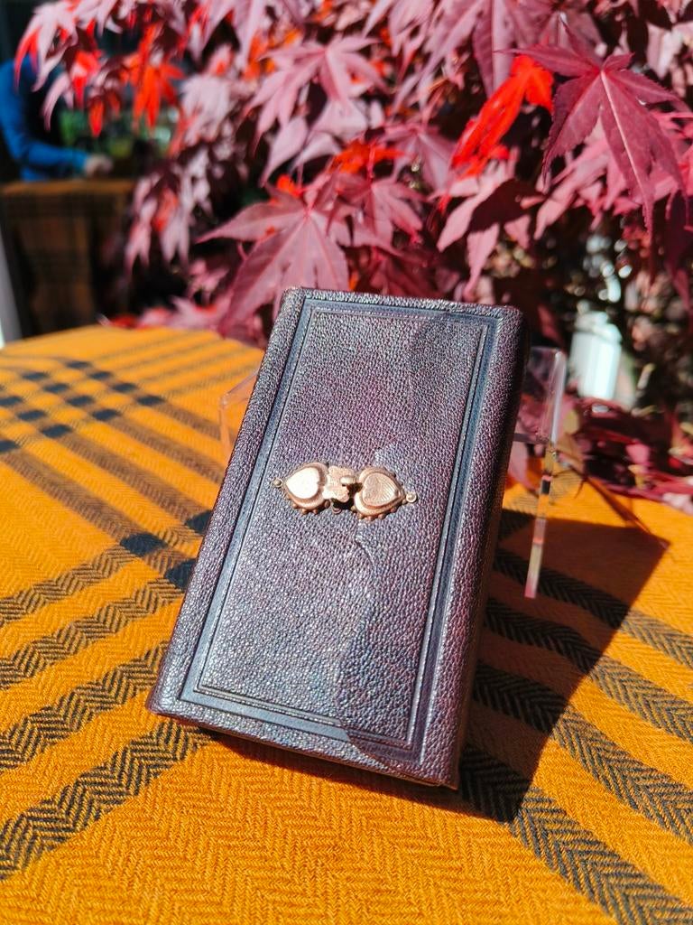 Mooie kleine bijbel uit het jaar 1884, Antiek en Kunst, Ophalen of Verzenden