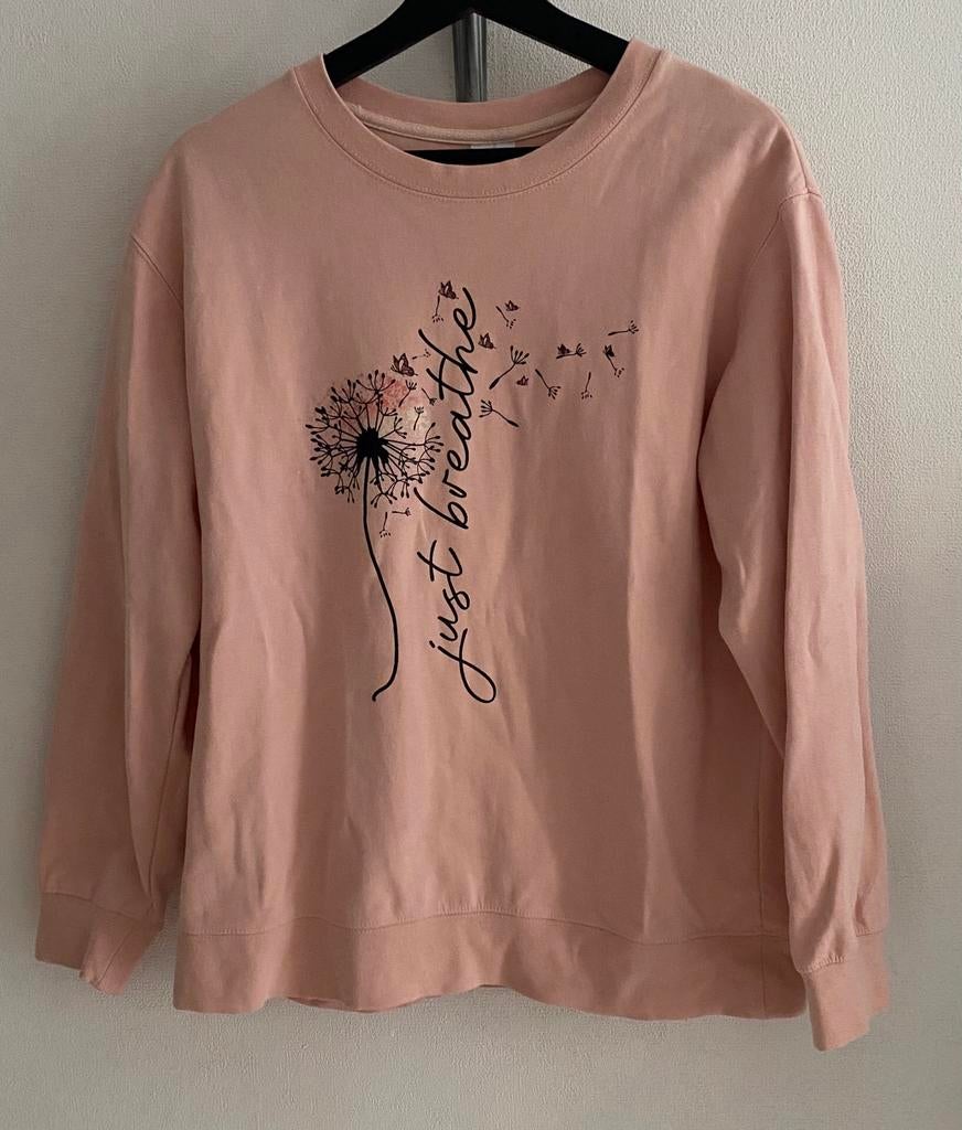 Sweater van ARRIVEGUIDE..mt:m, Maat 38/40 (M), B, Overige kleuren, Ophalen of Verzenden