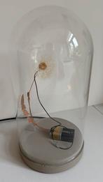 Studio drift dandlelight paardebloem lamp met stolp, Ophalen, Gebruikt