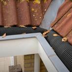 Gootdrain Bladstop - Maten M, L, XL en XXL - Bladvanger, Ophalen of Verzenden, Nieuw