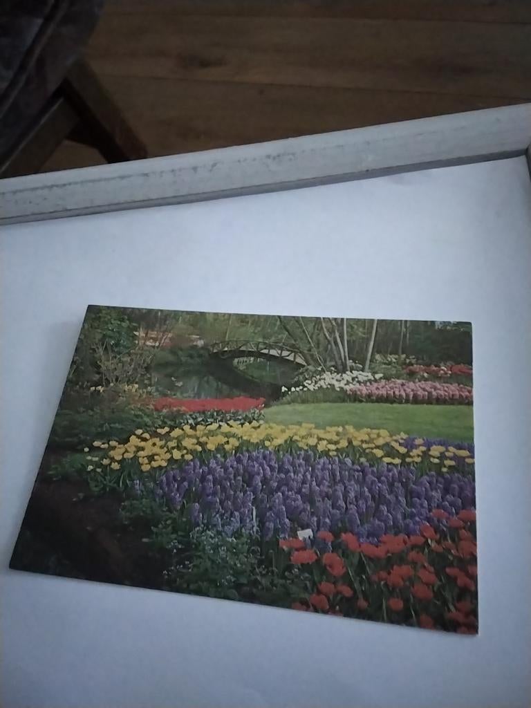 KEUKENHOF. LISSE HOLLAND, Ophalen of Verzenden, Zuid-Holland